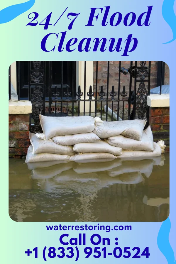 24/7 Flood Cleanup in Prestbury, IL
